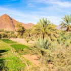 The road linking Agdz to Zagora reveals captivating scenery with green oases, clay-built settlements and fortified kasbahs, symbols of southern Morocco’s traditional landscape.