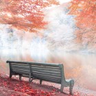 Bench by Lake Parz in Dilijan, surrounded by warm autumn colors. A charming spot among forests and silence, perfect for relaxation and peaceful moments in nature.