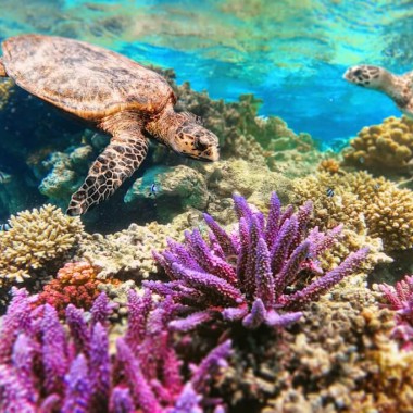 Classic Egypt Tour and Sea