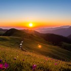 Sunrise over the Meskheti mountain range in Georgia, near Mount Zegari. Valleys open between gentle ridges and wide nature in a quiet, expansive landscape.