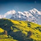 Vibrant alpine meadows spread at the foot of Tetnuldi. Morning light gently brushes Upper Svaneti, softly shaping the profiles of the Caucasus.
