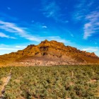 The Ziz Valley near Zagora offers spectacular Saharan landscapes with lush palm groves, rocky plateaus, and ancient oases that reveal the authentic soul of southern Morocco.