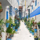 Among white alleys, blue details and colorful plants, the streets of Tangier reveal the authentic charm of the Moroccan medina.