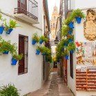 The famous Calleja de las Flores enchants with whitewashed walls, colorful flower pots and the Mezquita's bell tower rising in the background. Córdoba at its most iconic.