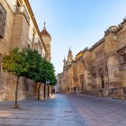 The historic center of Córdoba reveals centuries of history through stone palaces, monumental churches and timeless streets that capture the authentic soul of Andalusia.