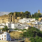 Antequera's historic center captivates with whitewashed houses, ancient churches and monuments rising above the hillside. An authentic gem in the heart of Andalusia.