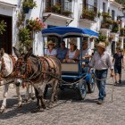 Mijas' iconic donkey taxi travels through the village's whitewashed streets and flower-filled balconies, preserving a tradition that has symbolized the Costa del Sol for decades.