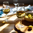 A glass of Fino Sherry, made from Palomino grapes, accompanies the tasting in the historic bodegas of Jerez de la Frontera, celebrating Andalusia's renowned winemaking heritage.