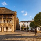 The Collegiate Church of Ronda overlooks the peaceful Plaza de la Duquesa de Parcent, surrounded by arcades, leafy trees and warm stone, in the authentic heart of Andalusia.
