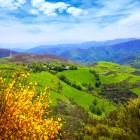 The lush valleys surrounding O Cebreiro offer spectacular views of mountains, forests and spring blossoms along the Camino de Santiago.