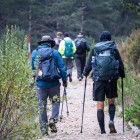 Pilgrims walk through the forests of Foncebadón towards the Cruz de Ferro, one of the most symbolic landmarks on the Camino de Santiago, surrounded by nature and spirituality.