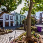 In the leafy Plaza de la Junta Suprema, the bust of Alonso de Nava y Grimón recalls the history of the Canary Islands, while La Concepción Tower closes the view along Calle San Agustín.