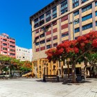 In the heart of Santa Cruz de Tenerife, Plaza José Arozena Paredes welcomes visitors with flowering flame trees and an original wooden arch dedicated to artist Óscar Domínguez.