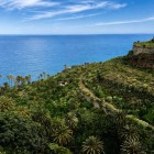 Canary Island palms and succulents cover the volcanic slopes near Los Gigantes, creating a subtropical landscape that descends towards the blue Atlantic.