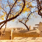 Among ancient trees and brick walls, the historic tombs of the Chor Bakr Necropolis reveal Bukhara’s Sufi devotion and the memory of its religious families.