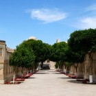 The Raravi Daroz crosses the Bahauddin Naqshband necropolis among trees, brick niches and royal tombs, guiding visitors through the silence of memory.