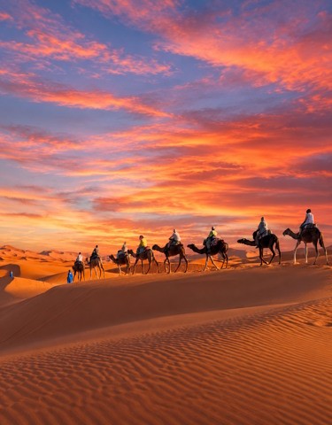 Southern Morocco and Kasbah Tour