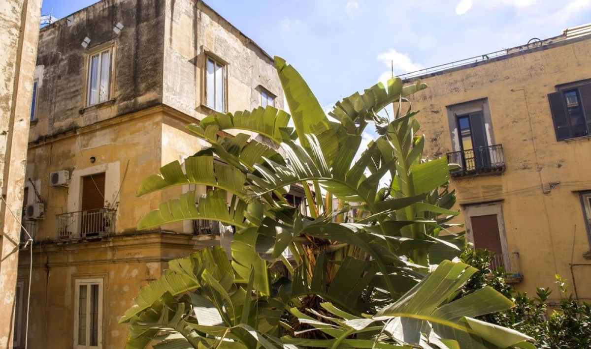 26 Urban Guest House - Immagine 1