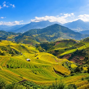 Vietnam, Sapa and Cambodia - From Rice Fields to the Temples of Angkor