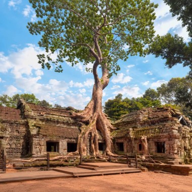 Vietnam and Angkor - From Rice Fields to Temples